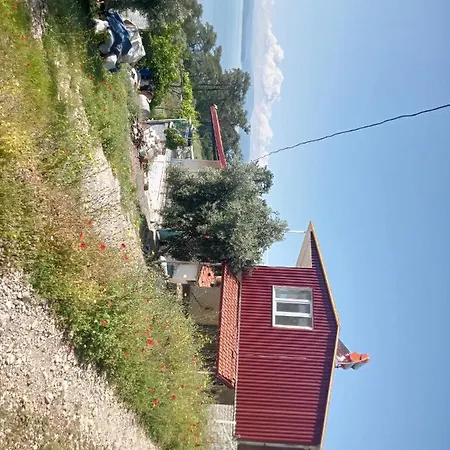 Kir Evi Apartment